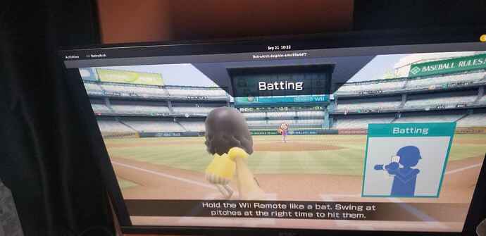 Wii Sports BaseBall